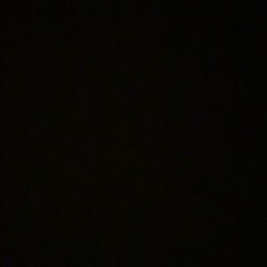 Meet your Posher, Dylan